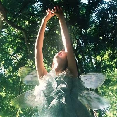 月华如水花照影